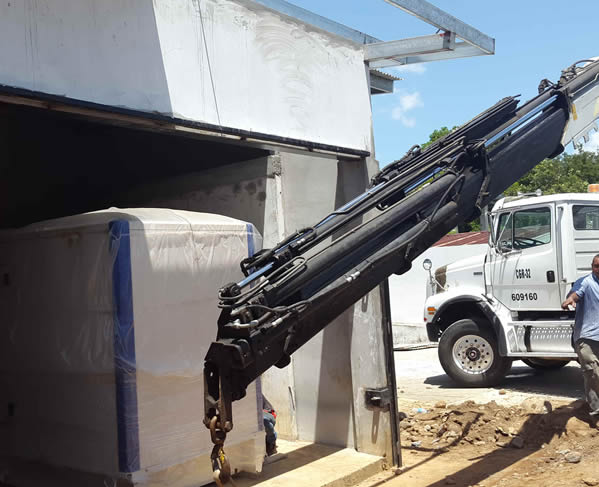 Super centor dorado | Seisa - Panamá